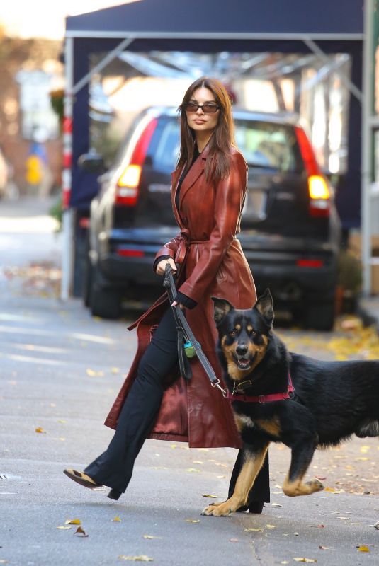EMILY RATAJKOWSKI Out Walking Her Dog in New York 11/14/2023