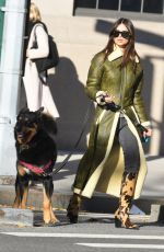 EMILY RATAJKOWSKI Out Walking Her Dog in New York 11/20/2023