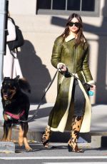 EMILY RATAJKOWSKI Out Walking Her Dog in New York 11/20/2023