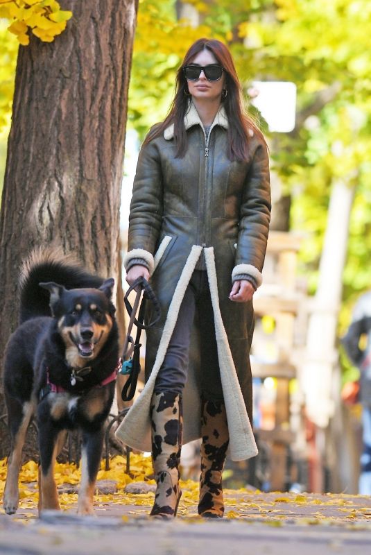 EMILY RATAJKOWSKI Out Walking Her Dog in New York 11/20/2023