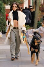 EMILY RATAJKOWSKI Walking Her Dog Out in New York 11/12/2023