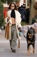EMILY RATAJKOWSKI Walking Her Dog Out in New York 11/12/2023
