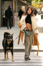 EMILY RATAJKOWSKI Walking Her Dog Out in New York 11/12/2023