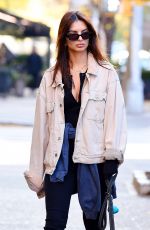 EMILY RATAJKOWSKI Walking Her Dog Out in New York 11/24/2023