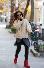 EMILY RATAJKOWSKI Walking Her Dog Out in New York 11/24/2023