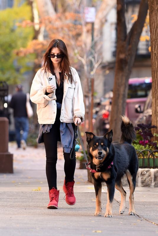 EMILY RATAJKOWSKI Walking Her Dog Out in New York 11/24/2023