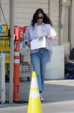 EMMA HEMMING WILLIS Out and About in Los Angeles 11/16/2023
