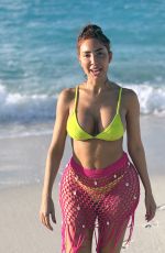 FARRAH ABRAHAM in Bikini at a Beach in Turks and Caicos 11/21/2023