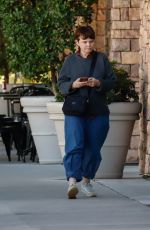 GINNIFER GOODWIN Out for Lunch with a Friend in Los Angeles 11/08/2023