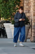 GINNIFER GOODWIN Out for Lunch with a Friend in Los Angeles 11/08/2023