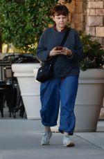 GINNIFER GOODWIN Out for Lunch with a Friend in Los Angeles 11/08/2023