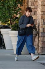GINNIFER GOODWIN Out for Lunch with a Friend in Los Angeles 11/08/2023