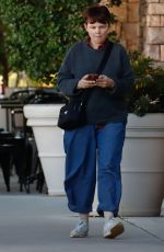 GINNIFER GOODWIN Out for Lunch with a Friend in Los Angeles 11/08/2023