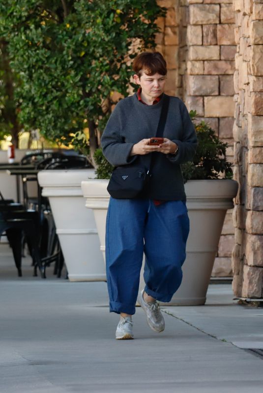 GINNIFER GOODWIN Out for Lunch with a Friend in Los Angeles 11/08/2023