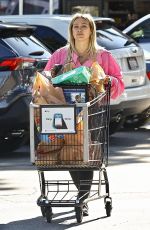 HILARY DUFF Out for Grocery Shopping in Los Angeles 11/17/2023