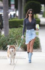 INES TROCCHIA Out with Her Dog in West Hollywood 10/31/2023