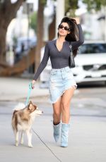 INES TROCCHIA Out with Her Dog in West Hollywood 10/31/2023