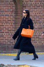 IRINA SHAYK Out and About in New York 11/01/2023