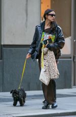 IRINA SHAYK Out with Her Dog in New York 11/08/2023