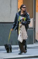 IRINA SHAYK Out with Her Dog in New York 11/08/2023