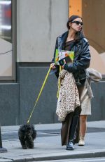 IRINA SHAYK Out with Her Dog in New York 11/08/2023