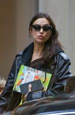 IRINA SHAYK Out with Her Dog in New York 11/08/2023