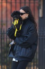 IRINA SHAYK Out with Her Dog in New York 11/20/2023