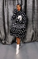 JANELLE MONAE at Renaissance: A Film by Beyonce World Premiere in Los Angeles 11/25/2023