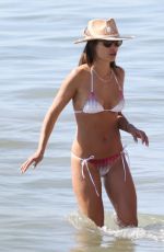 JORDANA BREWSTER in Bikini at a Beach in California 11/07/2023