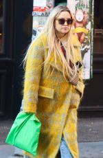 KATE HUDSON Ot and About in New York 11/14/2023