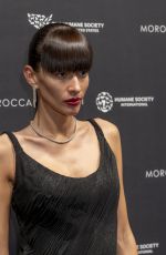 KATYA TOLSTOVA at Humane Society