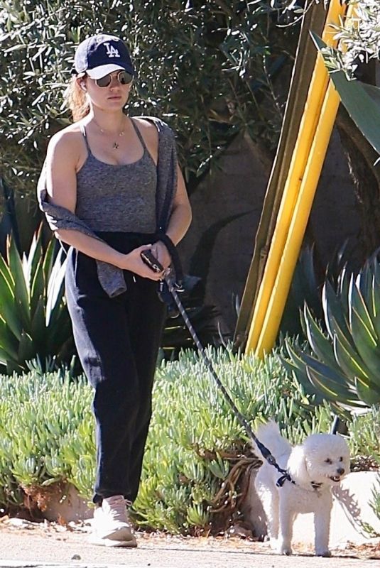 LUCY HALE Out with her Dog in Studio City 11/21/2023