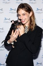 MAYA HAWKE at North Shore Animal League America