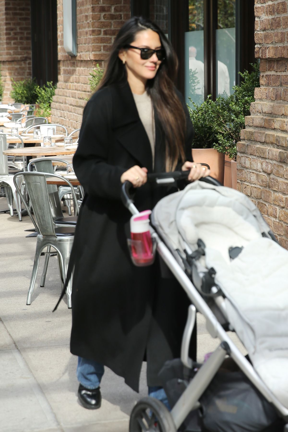 Passeggino Gemellare Diset Olivia – Per Due Bambole, Con Manubrio Regolabile E Cestone! 👶👶