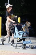 PHOEBE PRICE Out with Her Dog in Los Angeles 11/01/2023