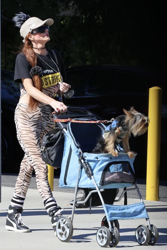 PHOEBE PRICE Out with Her Dog in Los Angeles 11/01/2023