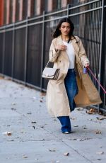 RACHEL ZEGLER Out with Her Dog in New York 11/02/2023