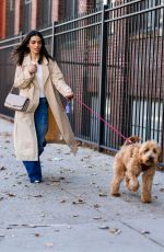 RACHEL ZEGLER Out with Her Dog in New York 11/02/2023
