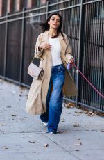 RACHEL ZEGLER Out with Her Dog in New York 11/02/2023