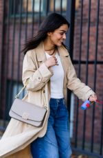 RACHEL ZEGLER Out with Her Dog in New York 11/02/2023