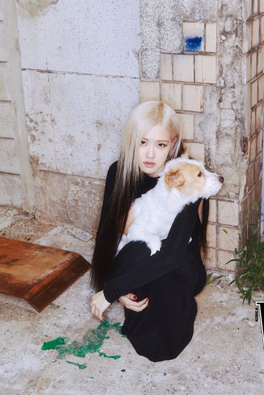 ROSE for W Korea, December 2023