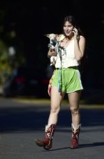 SCOUT WILLIS Out Shopping in Los Angeles 11/20/2023