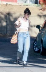SCOUT WILLIS Out with Her Dog in Los Angeles 11/25/2023