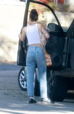 SCOUT WILLIS Out with Her Dog in Los Angeles 11/25/2023