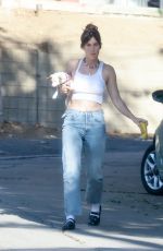 SCOUT WILLIS Out with Her Dog in Los Angeles 11/25/2023