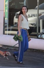 SCOUT WILLIS Stops by FedEx with Her Dog in Los Angeles 11/14/2023