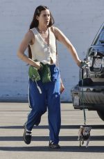 SCOUT WILLIS Stops by FedEx with Her Dog in Los Angeles 11/14/2023