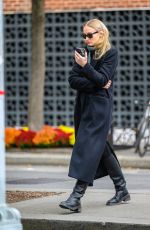 SOPHIE TURNER Shopping at British Store in Myers of Keswick in New York City 11/10/2023