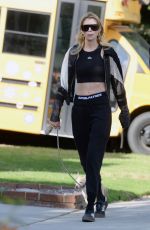 STELLA MAXWELL Out with Her Dog in Los Angeles 11/26/2023