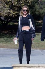 STELLA MAXWELL Out with Her Dog in Los Angeles 11/26/2023
